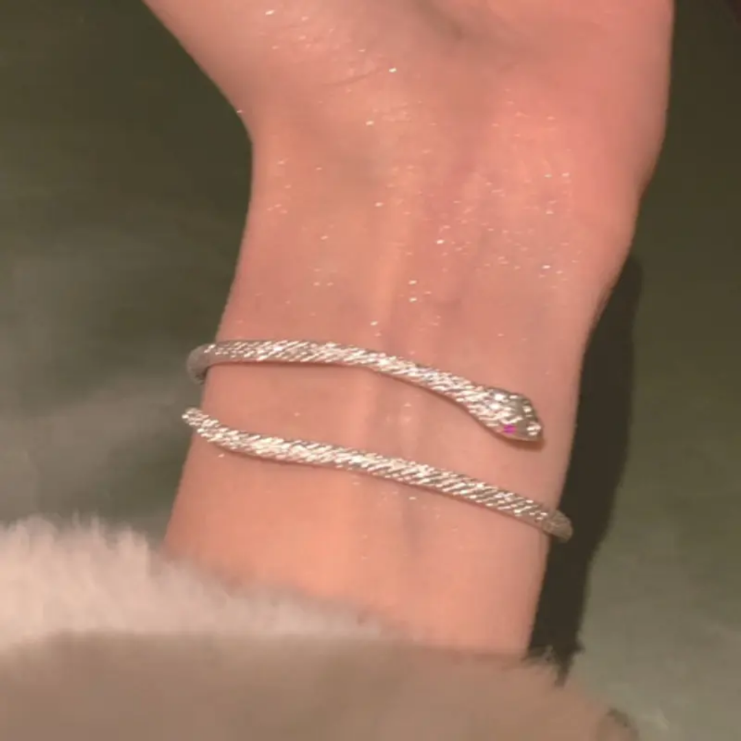 Yu Fashions Silver Snake High Fashion Animal Korean Adjustable Bracelet