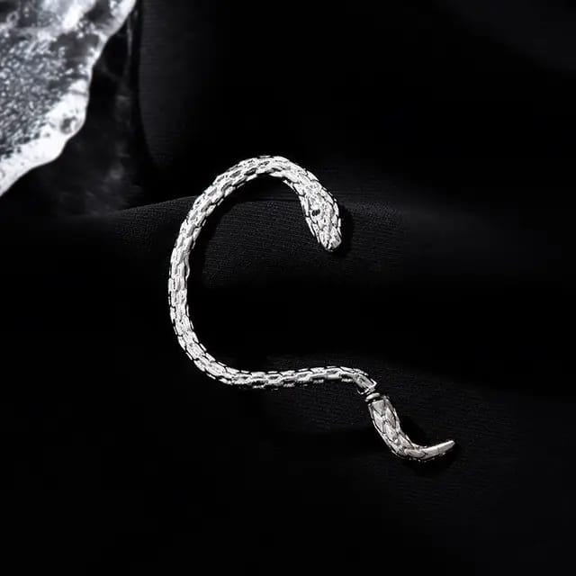 Yu Fashions Geometrical Hip Hop Punk BTS Inspired animal Snake Korean Single Pc earring