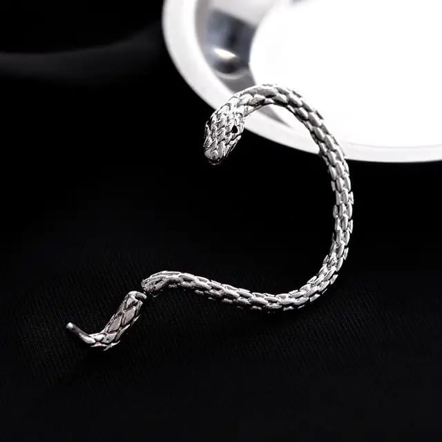 Yu Fashions Geometrical Hip Hop Punk BTS Inspired animal Snake Korean Single Pc earring